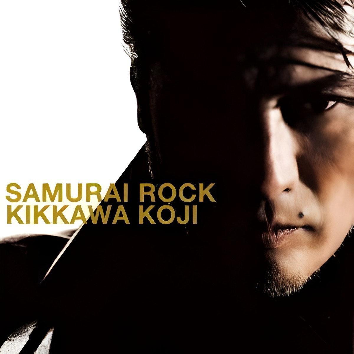 10056_samurai_rock_single_